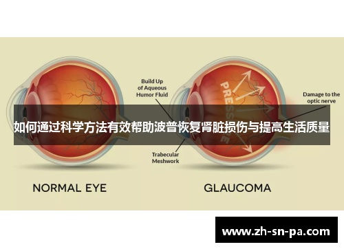 如何通过科学方法有效帮助波普恢复肾脏损伤与提高生活质量