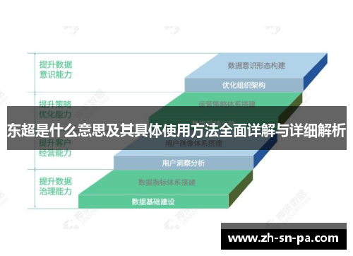 东超是什么意思及其具体使用方法全面详解与详细解析